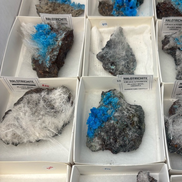 Unlisted items 2 - 02/08 - Picture 2 of 16